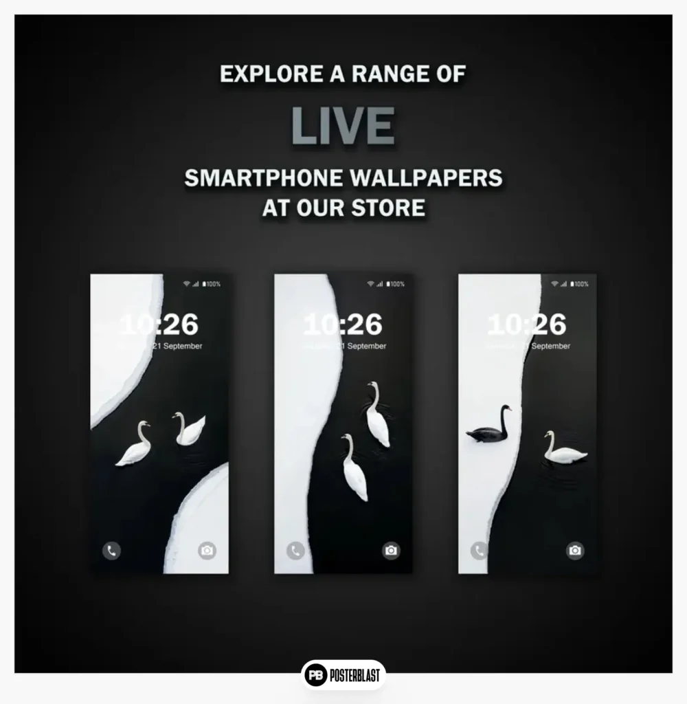 Black White Swans Phone Live Wallpaper V1 
