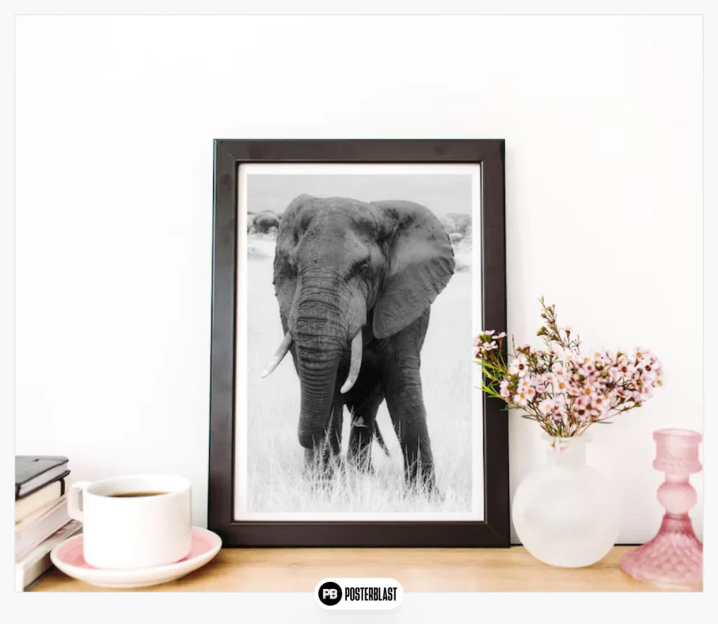 Black and White Animal Photography Digital Print